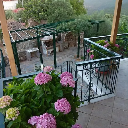 Hanakia Contemporary Above Villa