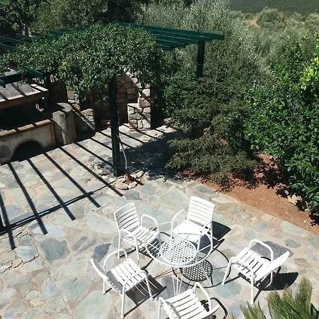 Hanakia Contemporary Above * Kalamata